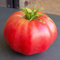 Organic Brandywine Pink Tomato Seed 250 Mg ~60 Seeds – Heirloom, Non-GMO, Indeterminate Variety – Large, Sweet Slicing Tomatoes for Garden Beds or Containers – High-Yield Seeds