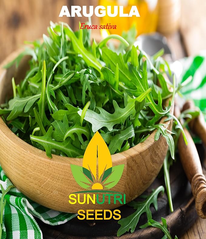 Arugula Seeds, 250+ Heirloom, Non GMO Seeds, Eruca Sativa.