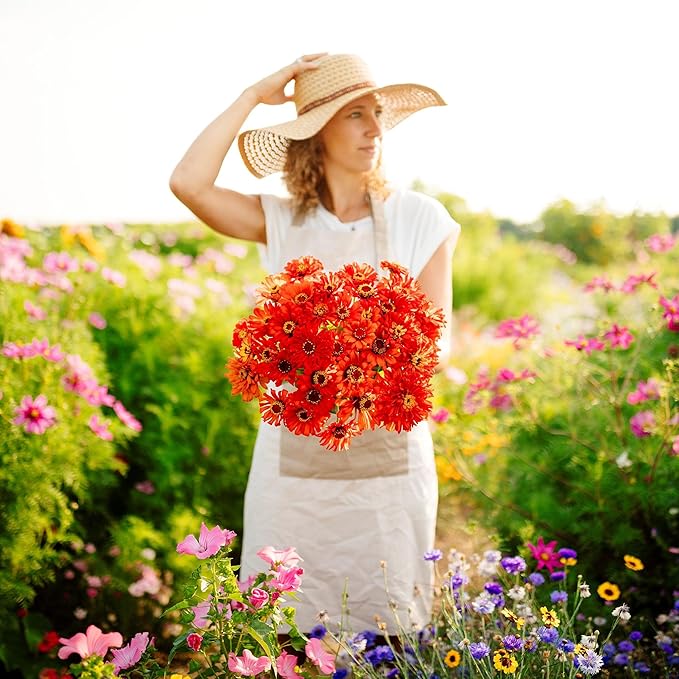 Eden Brothers Zinnia Seeds - Super Cactus Redman, Non-GMO Seeds for Planting, Packet | Low-Maintenance Flower Seeds, Plant During Spring, Zones 3, 4, 5, 6, 7, 8, 9, 10