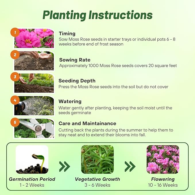 Outsidepride Pink Moss Rose Seeds - 10000 Pcs Annual, Drought & Heat Tolerant, Pollinator Friendly Ground Cover Seeds for Planting w/Vibrant Blooms & Succulent Foliage, Ideal for Xeriscaping