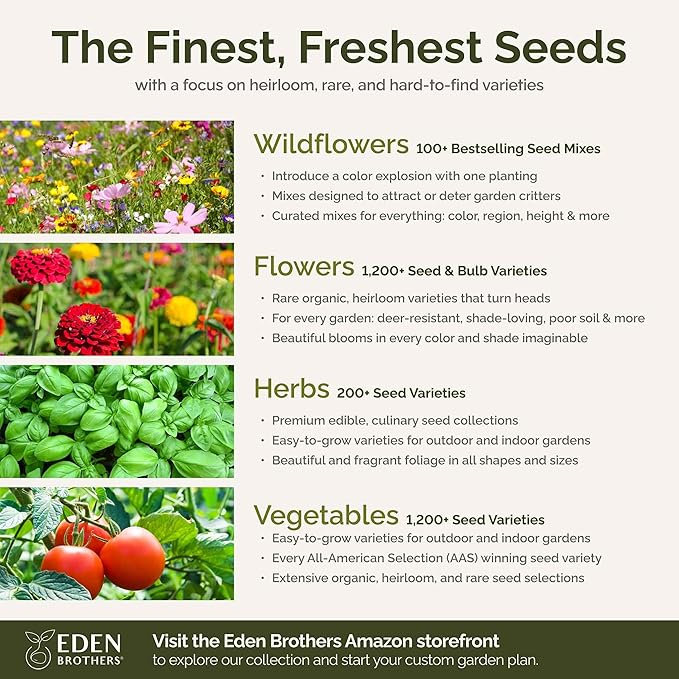 Eden Brothers Midwest All Perennial Wildflower Mixed Seeds for Planting, 1/4 lb, 120,000+ Seeds with Hyssop, Shasta Daisy | Attracts Pollinators, Plant in Spring or Fall, Zones 3, 4, 5, 6, 7, 8, 9, 10