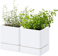 D'vine Dev 4 Inch Herb Planter Pot, Plastic Planter with Drainage Holes and Saucer, Modern Decorative Gardening Pot for Indoor Plants, Flowers, Herbs, Succulents, White, Set of 2, 76-Y-A2-1