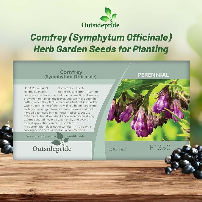 Outsidepride Comfrey Seeds - 100 Pcs. Perennial, Drought-Tolerant & Low Maintenance, Herb Seeds for Planting Tall, Vibrant Bell-Shaped Purple Blooms for Versatile Uses & Pollinator Gardens