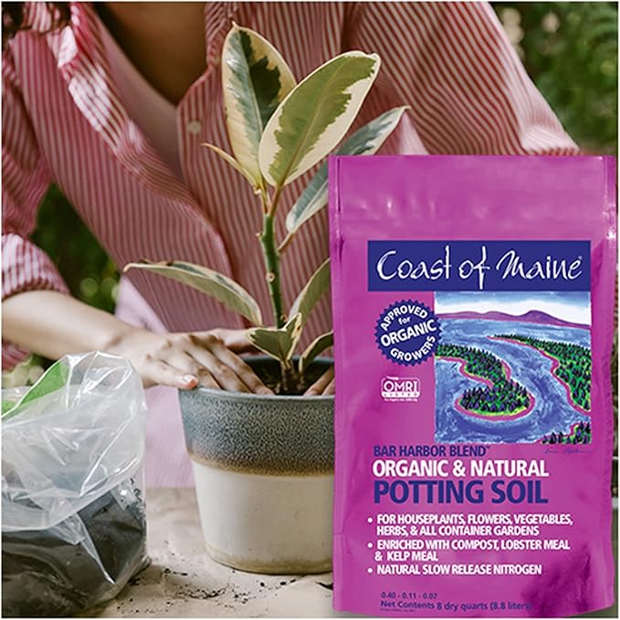 Coast of Maine Bar Harbor Blend, 8qt (Pack of 2) Organic and Natural Potting Soil for Houseplants, Flowers, Vegetables, Herbs and Containers