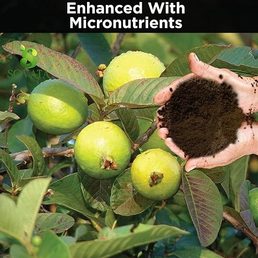 Sovata® Guava Growth Food, Powerful Organic Fertilizer for Fast Growth and Heavy Fruiting of Guava Plants. (200 gm)