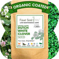 Flawn Seed Kits White Dutch Clover Seed, 4.4 Oz, Organic Coated, Natural Lawn, Ground Cover, Hunting Food Plot, Covers up to 1,000 SqFt