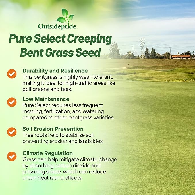 Outsidepride Pure Select Creeping Bent Grass Seed - 1 lb. Premium Turf Grass for Putting Greens, Tees & Fairways, Dense & Fine-Textured Lawn Seed for Smooth, Professional-Quality Golf Greens & Lawns