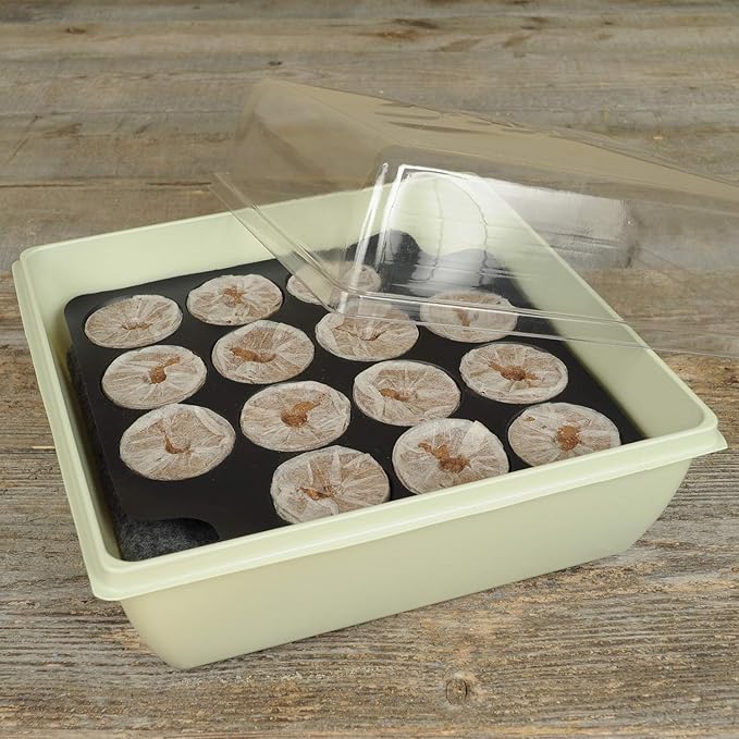 Jiffy 50mm Self-Watering Seed Starting Tomato & Vegetable Greenhouse Kit with 14 Plant-Based Expanding Peat Pellets & Water-Wicking Mat