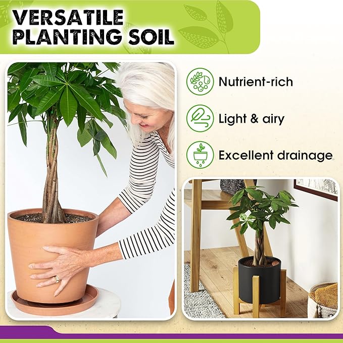 DUSPRO Recycle Money Tree Soil Indoor, Premium Coco Coir Perlite Mix and Pine Bark for Money Tree, Ideal Money Tree Soil for Healthy Growth and Nourishment (2 Quarts)