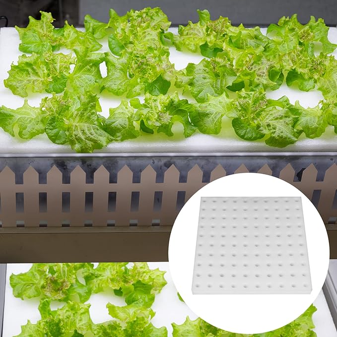 XIDAJIE 200 Pcs Hydroponic Sponges Planting Gardening Tool Soilless Cultivation Seedling Sponges Cultivation Sponge Greenhouse for Small Bud Growth & Grow Seedlings