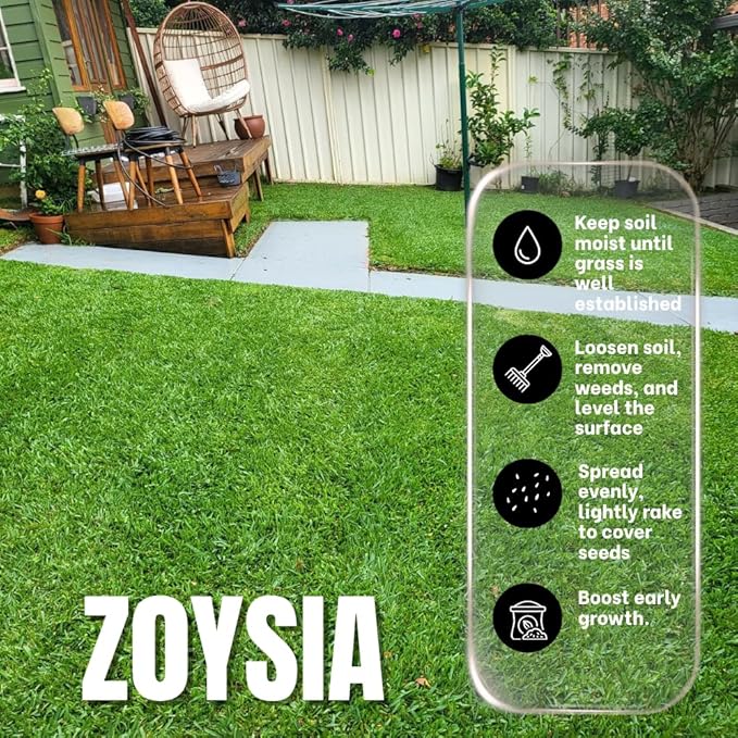 12000 Zoysia Grass Seeds Zoysia Seeds Lawngrass Seeds for Growing Low-Maintenance Lawns in Home Yards and Gardens