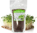 Radish Sprouting Seeds 1 lb – Non-GMO Daikon Microgreen Seeds for Indoor Growing