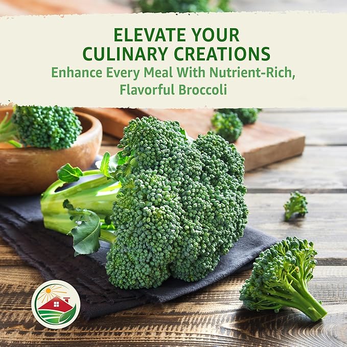 TKE Farms & Gardens - Waltham 29 Broccoli Seeds for Planting, 500+ Non-GMO Heirloom Seeds, Cold-Hardy Variety, Ideal for Fall & Winter Gardens, Easy Growing Instructions Included