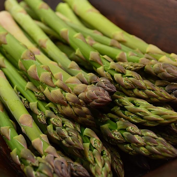 Mary Washington Asparagus - 100 Seeds - Heirloom & Open-Pollinated Variety, Non-GMO Vegetable Seeds for Planting Outdoors in The Home Garden, Thresh Seed Company