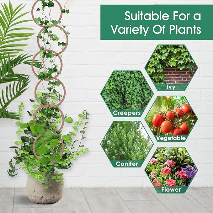 20pcs Round Chain Trellis for Climbing Plants Indoor, with 8pcs Self-Adhesive Hooks, HSSZXFR DIY Plant Climber Support for Vines and Garden Wall Trellis, for Monstera Pothos Ivy Flower