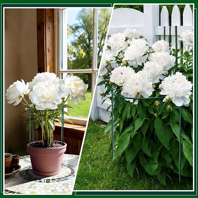 8 Pack Peony Support Cages, 10" W x 16" H Half Round Peony Plant Supports, Heavy Duty Metal Plant Support Stakes, Green Garden Plant Support Rings for Peony, Hydrangea, Roses & Flowers
