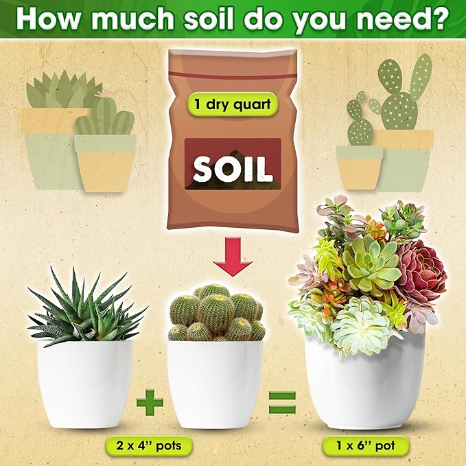 DUSPRO Succulents Soil Potting Mix – 7 in 1 Ingredients Well-Draining, Nutrient-Rich Cactus Potting Soil for Succulents and Cacti, Indoor & Outdoor Use, Ready to Use, Supports Healthy Root Growth, 8QT