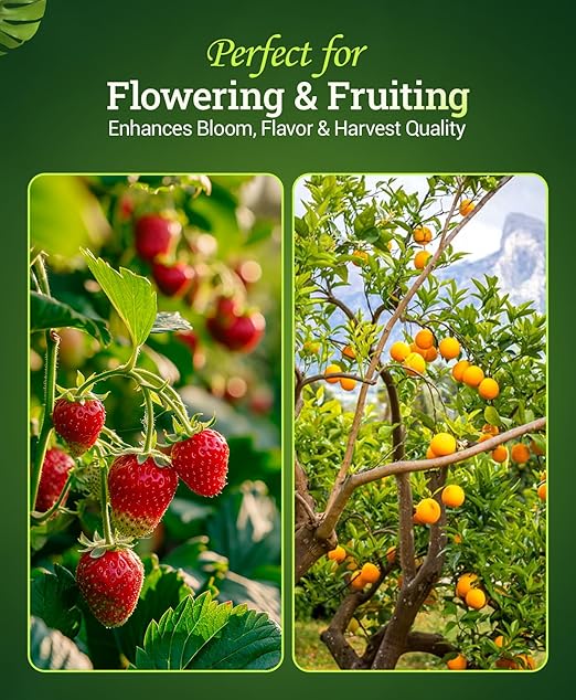 FoxFarm Bush Doctor Bembé Sweet & Dandy Liquid Plant Fertilizer - Complex Nutrient Blend - 0-1-3 PK Fertilizer for In-Ground & Hydroponic Gardens - 1 Quart
