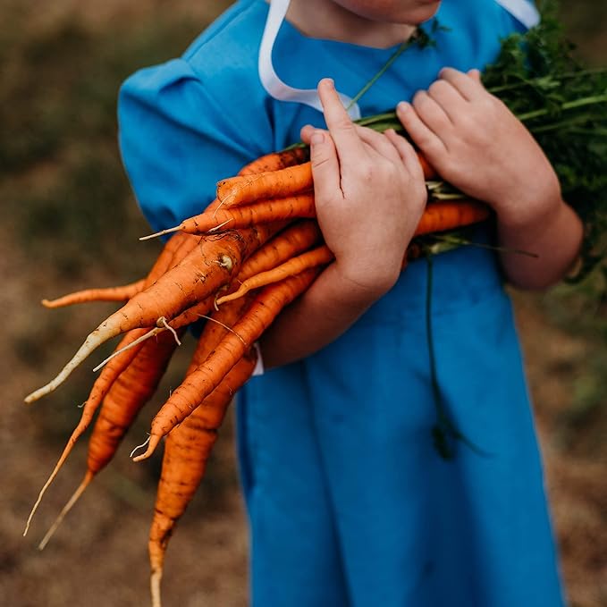 Kuroda Heirloom Carrot - 150 Seeds - Heirloom & Open-Pollinated Variety, Non-GMO Vegetable Seeds for Planting Indoors or Outdoors in Containers or The Home Garden, Thresh Seed Company