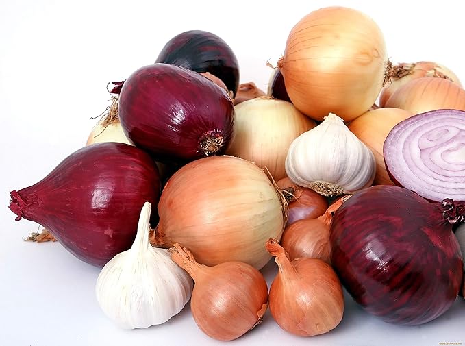 500+ Seeds Onion - Vegetable Mix