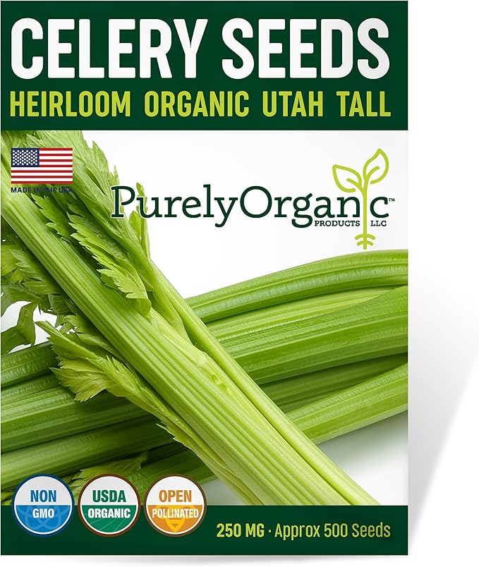Organic Utah Tall Celery Seeds - USDA Organic, Non-GMO, Open Pollinated, Heirloom, USA Origin (1 Packet - 250 MG - Approx 500 Seeds)