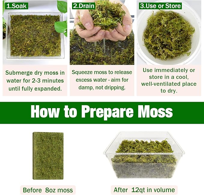 ZeeDix 8 oz Forest Moss for Plants Indoor - Dried Orchid Moss for Repotting, Natural Green Sphagnum Moss for Potted Plants Carnivorous Monstera Succulents Crafts Reptile Habitat (Expands to 12 qt)