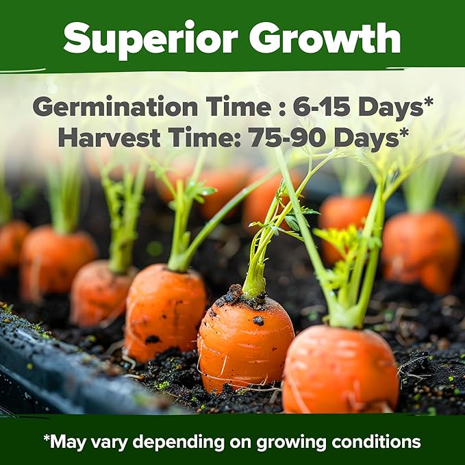 Root Vegetable Seed Variety Pack – Over 8,600 Non-GMO USA Heirloom Seeds: Arugula, Tendersweet Carrots, Detroit Dark Red Beets & Cherry Belle Radish – Fast Growing for Spring & Fall Gardens