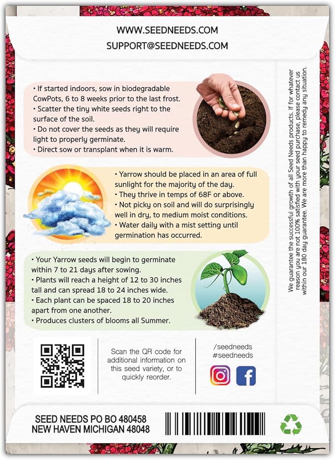 Seed Needs, Red Yarrow Seeds - 500 Heirloom Seeds for Planting Achillea millefolium rubra - Perennial Host Plant to Attracts Monarchs & Other Pollinators (1 Pack)