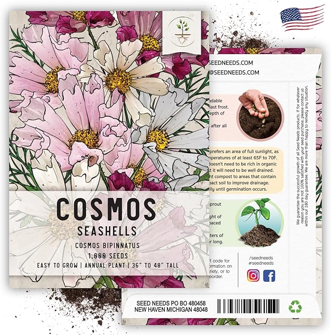 Seed Needs Seashells Cosmos Seeds for Planting - Heirloom & Open Pollinated Annual Wildflowers - Tubular Petals in Mixed Colors Perfect for a Butterfly Garden (1 Pack)