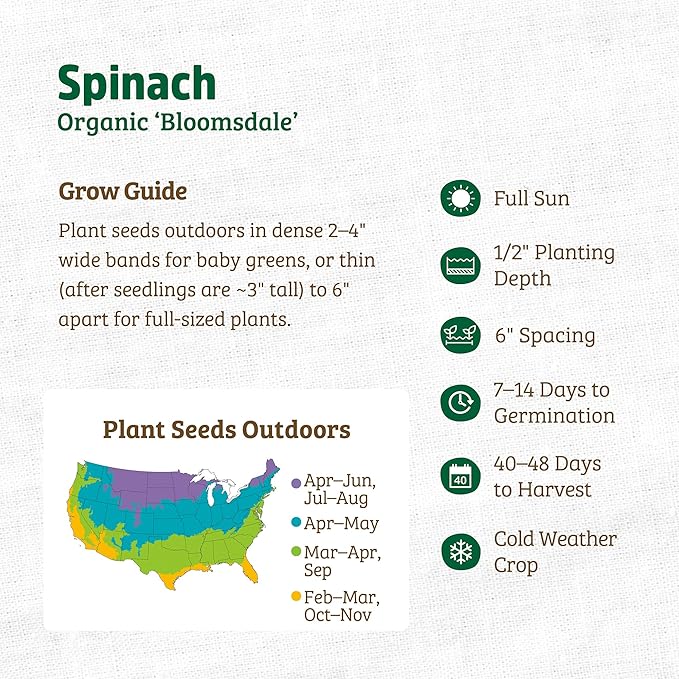 Back to The Roots 100% Organic Seed Packet - Spinach