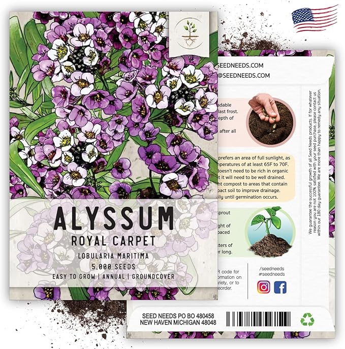 Seed Needs Royal Carpet Alyssum Seeds for Planting - Heirloom & Untreated - Tender Perennial Flowers to Attract Pollinators to Rock Gardens, Pots, Containers & Window Boxes (1 Pack)