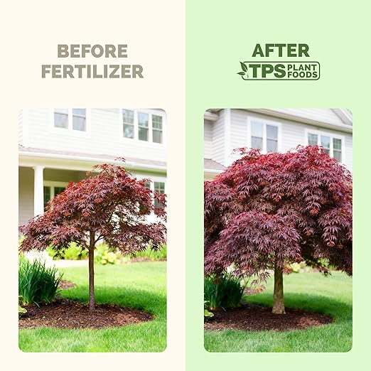Japanese Maple Fertilizer – Liquid Plant Food for Vibrant Color, Stronger Roots & Healthy New Growth, 32 oz