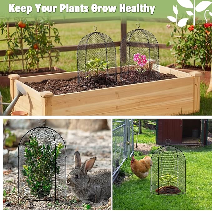 Novabright 2 Pack Garden Cloches for Plants 12" x 16" with Stakes & Zip Ties, Plant Covers from Animals Large Metal Mesh Chicken Wire Cloche Plant Protector Cage for Vegetable Garden Outdoor (Black)