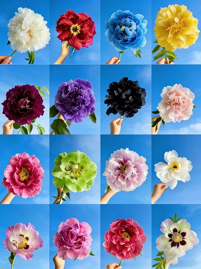 Mix Peony Seeds for Planting, 100+pcs Rare Perennial Peony Flower Seeds Plants, Non-GMO Heirloom Attracts Pollinators Blooms Flowers Plants for Home Garden Outdoors
