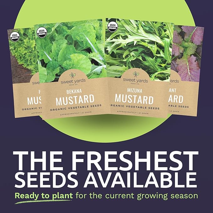 Organic Mustard Green Seeds Variety Pack - 4 Individual Packs - 2026 Season - Mizuna, Pizzo, Bekana, and Red Giant! for Indoor & Outdoor Planting (Non-GMO, Certified Organic)