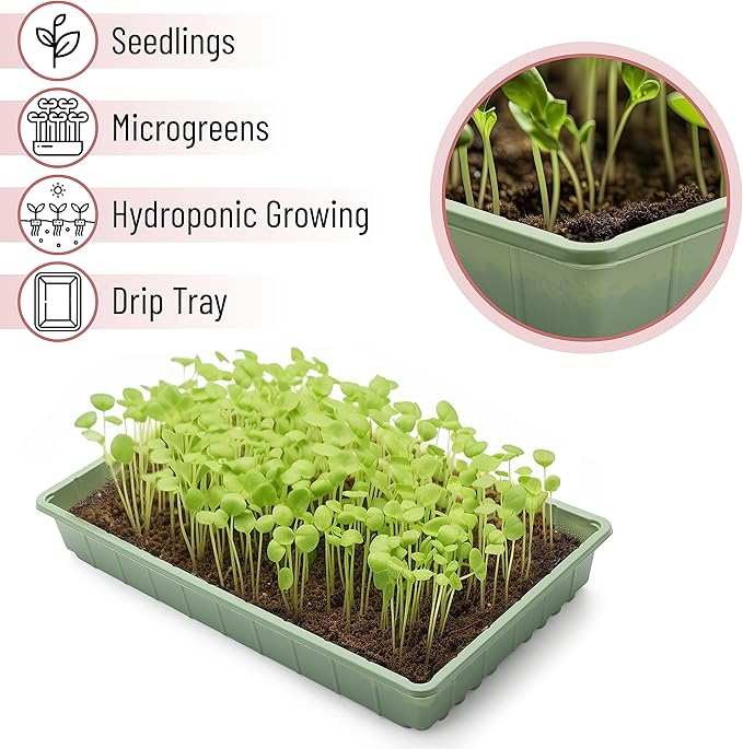 Mr. Pen-Plastic Growing Trays, 5 Pack, Plant Tray, Seed Tray, Propagation Tray