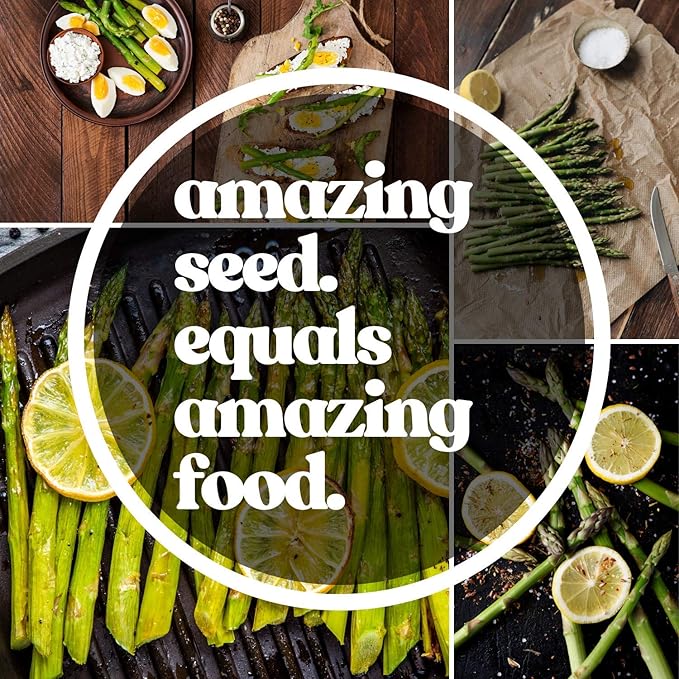 UC 72 Asparagus Garden Seeds - 2 g Packet ~60 Seeds - Non-GMO, Open Pollinated, Perennial Vegetable Gardening Seeds