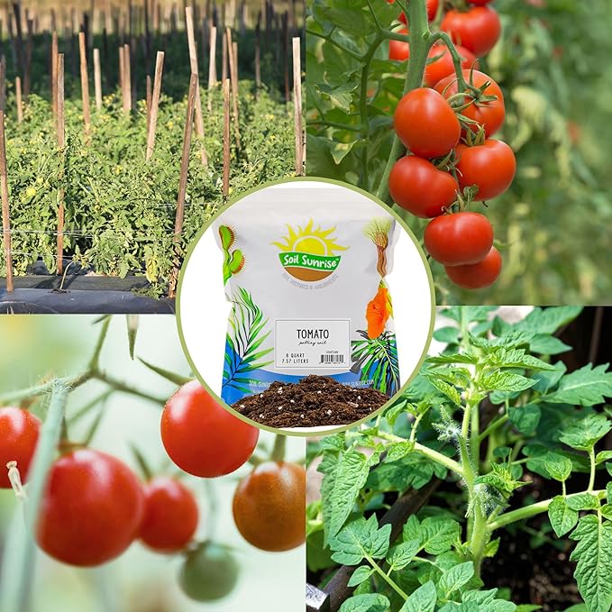Soil Sunrise All Natural Tomato Starter/Potting Mix (8 Quarts) Perfect Backfill for Outdoor Tomato Plant Holes, Hand Blended with Natural Ingredients Including Worm Castings