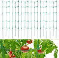 Tomato Cage for Garden- Upgrade 47 Inches Adjustable Plant Support Cage,Cucumber,Rose,Flowers,Fruit,Trellis for Climbing Plants Outdoor/Inodoor(6 Pack)