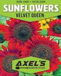 Seed Packets for Planting Red Sunflowers in Home Outdoor Garden - Heirloom Non-GMO Flower Seed Packets