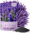 3800+ Lavender Seeds for Planting Outdoor - Non GMO Premium English Lavender Seeds for 2026, Lavender Plants or Dried Flowers, Wildflower Seed, DIY Essential Oils Perfect for Home Gardeners, Gifts