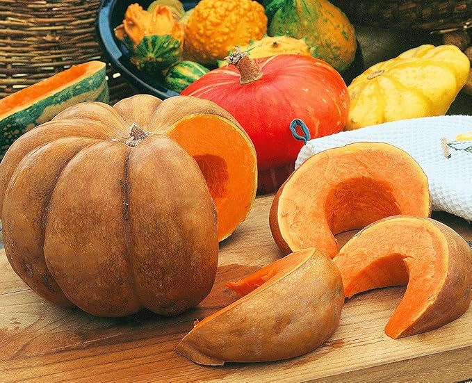 SeedsUP - 10+ Seeds Pumpkin Musquee de Provence - Vegetable Orange