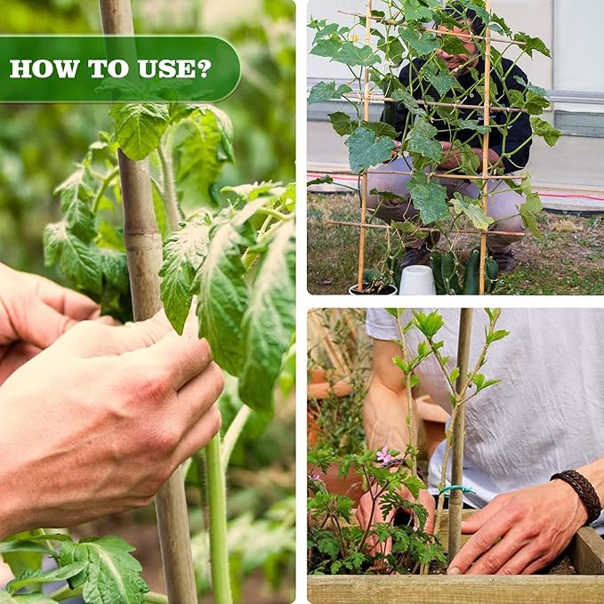 25pcs 1/2" D Thicker Heavy Duty Bamboo Stakes, 4FT Plant Stakes, Natural Garden Stakes for Tomato, Bean, Flowers,Trees Potted and Climbing Plant Support