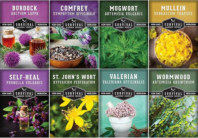 Advanced Medicinal Herb Seeds Collection – 8 Variety Pack for Planting with Comfrey, Mullein, St John’s Wort, Valerian, Mugwort – Heirloom Apothecary Herbalist Bundle by Survival Garden Seeds