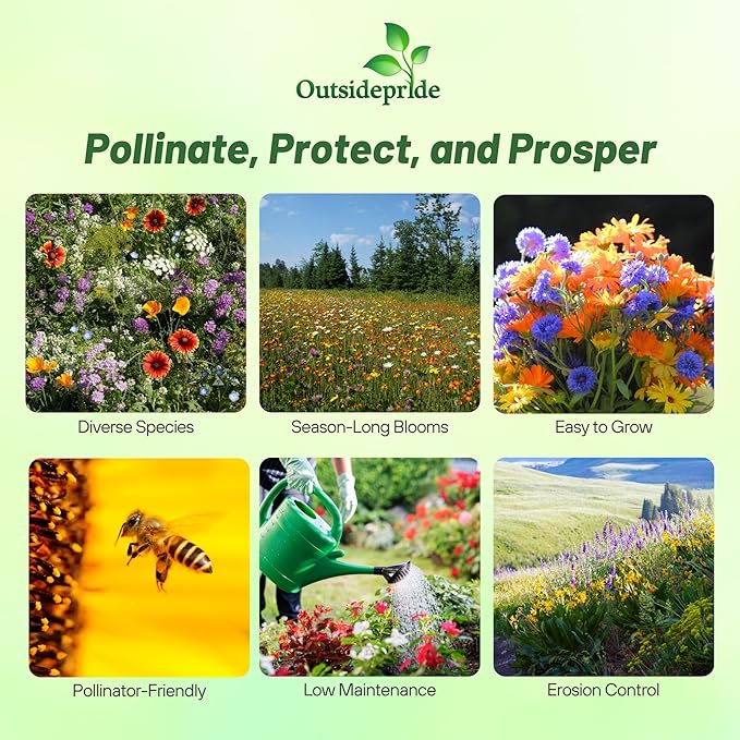 Outsidepride Insectary Wildflower Seed Mix - 1 lb Combination of Deep-Rooted Perennial & Fast Growing Annual Wildflower Seeds for Attracting Beneficial Insects & Enhancing Biodiversity