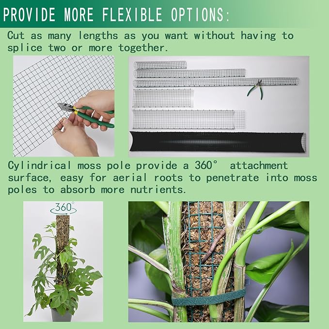 Metal Moss Poles for Climbing Plants, D-Shape Sphagnum Moss Pole Monstera Plant Support for Climbing Plants, DIY Plant Stakes Work with Sphagnum Moss (24ft D-Shaped)