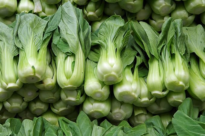 TKE Farms & Gardens - Bok Choy Seeds for Planting (Pak Choi), 1500+ Heirloom Non-GMO Asian Vegetable Seeds, Crisp & Nutritious Greens for Cooking, Grow in Spring & Fall, Instructions Included