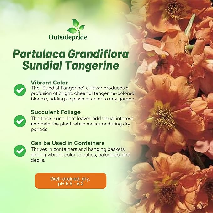 Outsidepride Tangerine Moss Rose Seeds - 250 Pcs Annual, Drought & Heat Tolerant, Pollinator Friendly Ground Cover Seeds for Planting w/Vibrant Blooms & Succulent Foliage, Ideal for Xeriscaping