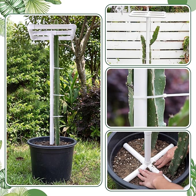 Vicenpal 2 Pcs Dragon Fruit Trellis 14"x14"x50" Cactus Trellis PVC Plant Support for Climbing Plants in Outdoor Gardens Climbing Plant Support Frame Easy Assembly Weatherproof for Vertical Garden