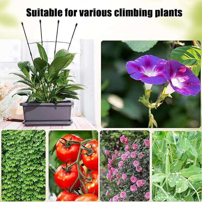 Garden Trellis for Climbing Plants Outdoor & Indoor, 47in Plant Trellis for Vines, Flowers,Tomato cage 3 Shapes Rustproof Plant Support Trellis for Potted Plants,Rose, Cucumber, Pea, Tomato